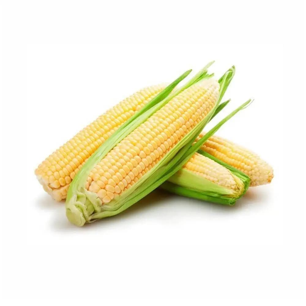 Corn on the Cob