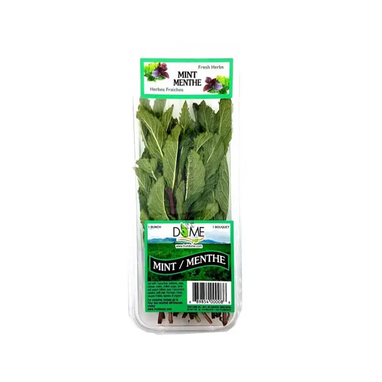 Fresh Mint