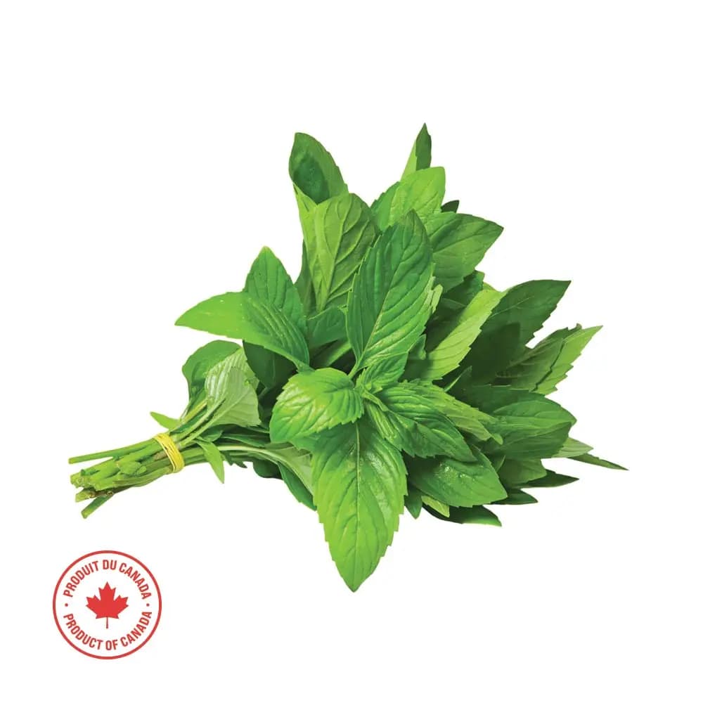 Fresh Mint (per bunch)