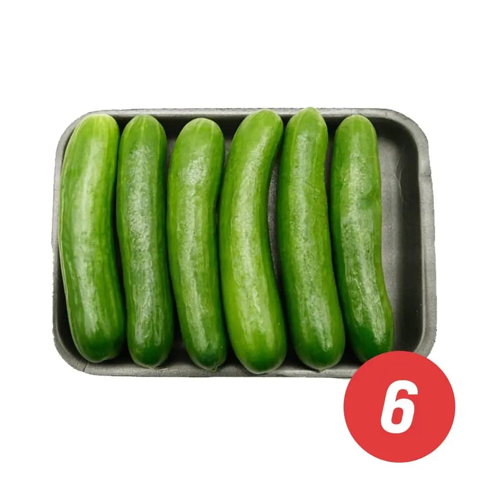 Lebanese Mini Cucumbers (6 pk)