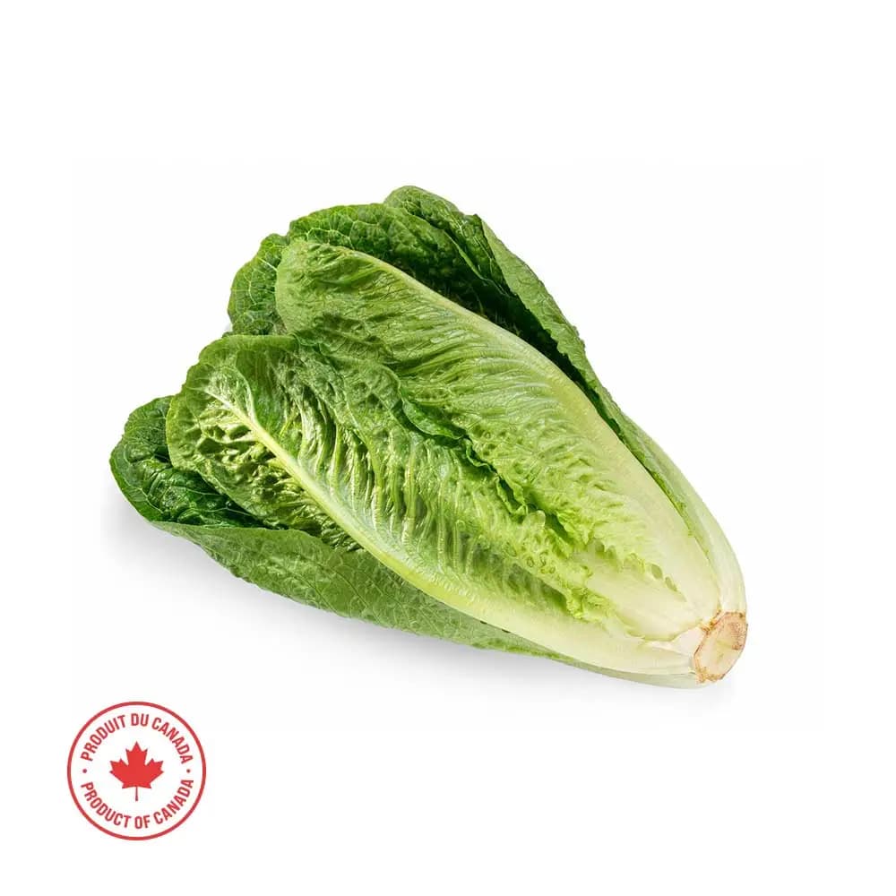 Romaine Lettuce (per head)