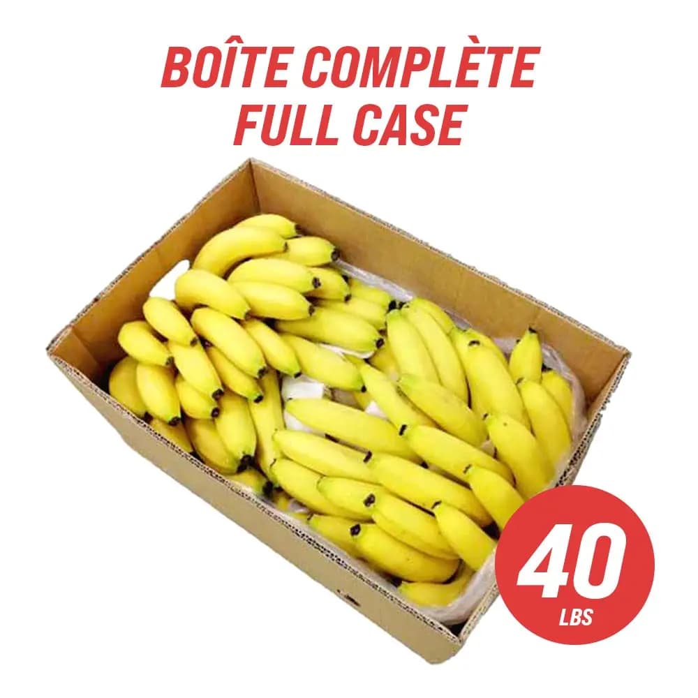 Bananes (caisse complète : 40 lb)