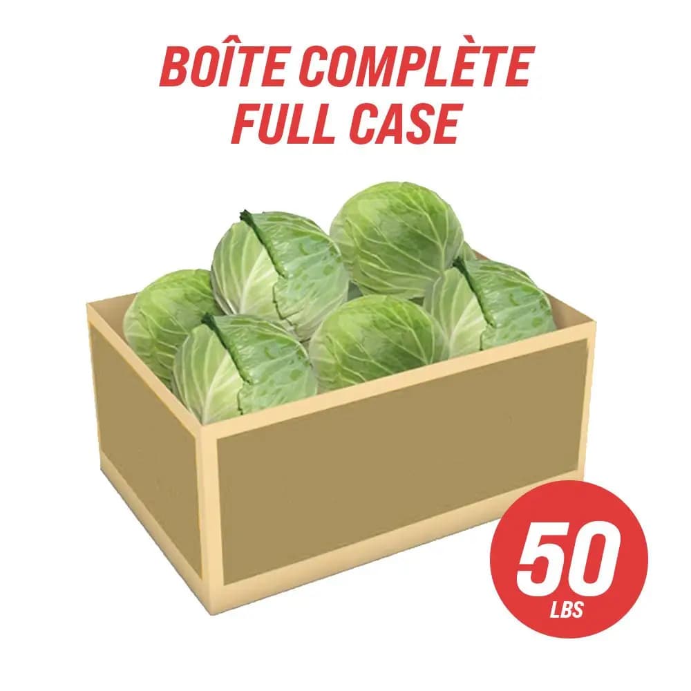 Chou vert (caisse entière : 40 lb)