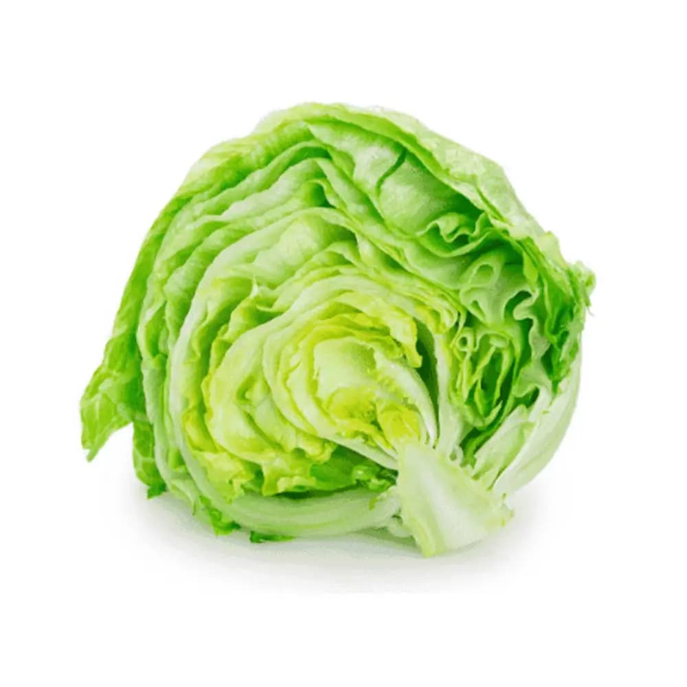 Iceberg Lettuce (x2)