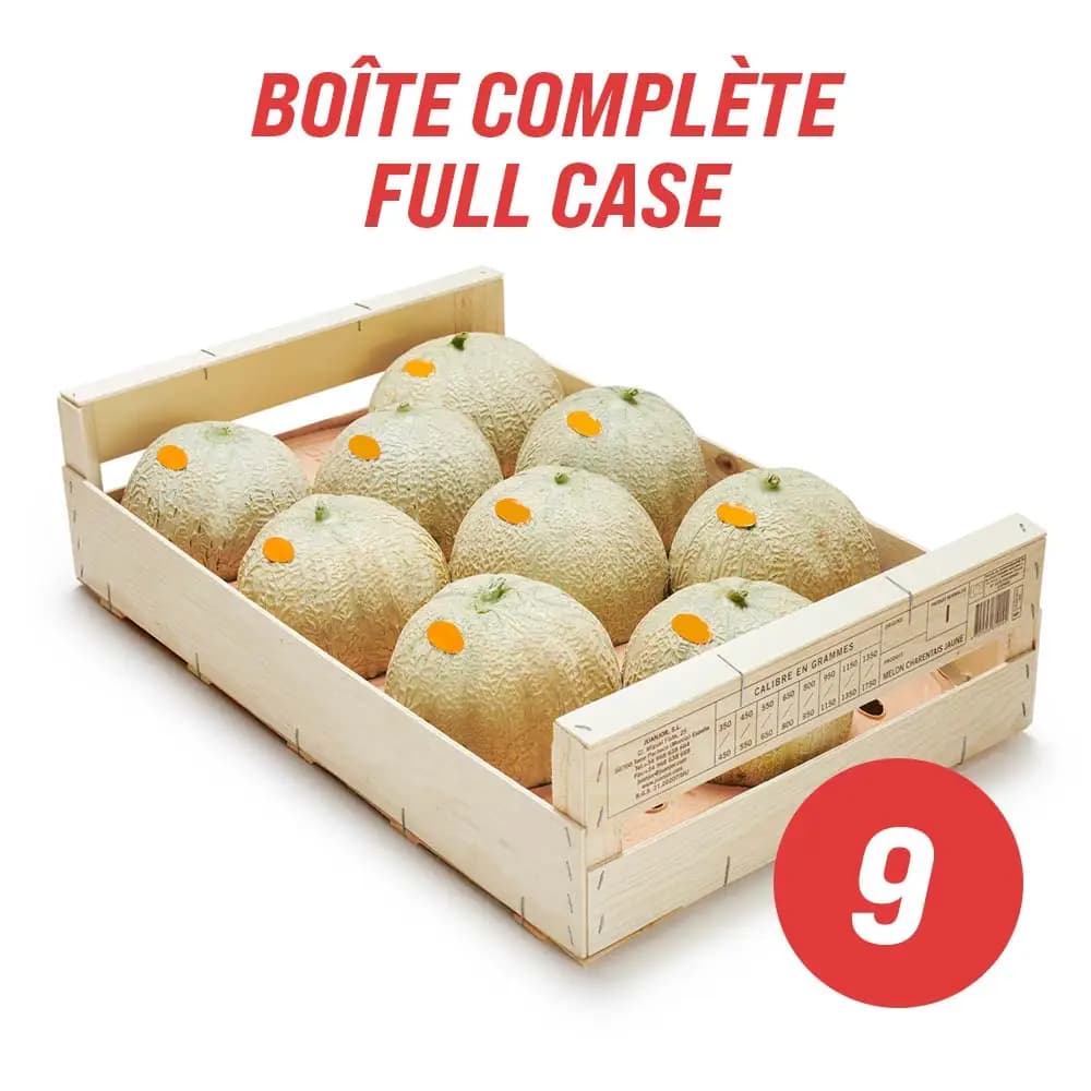 Cantaloups (caisse complète : 8-9)