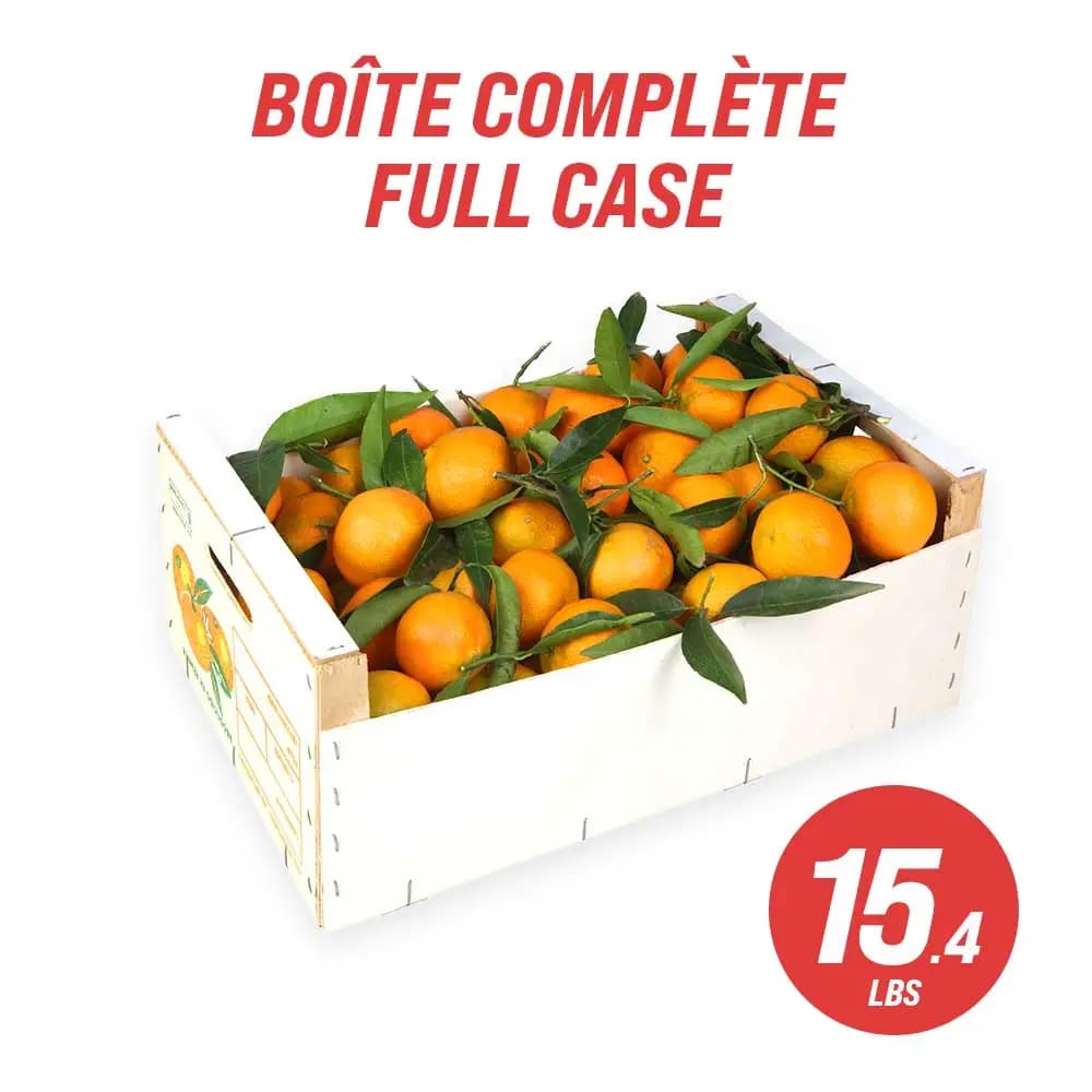 Clémentines à feuilles (caisse complète : 7 kg | 15.4 lb)